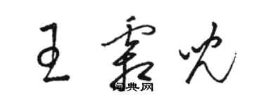 駱恆光王霜兒草書個性簽名怎么寫