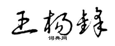 曾慶福王楊鋒草書個性簽名怎么寫