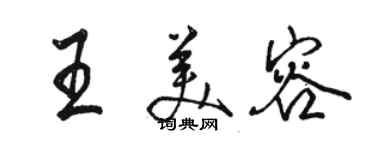 駱恆光王美容行書個性簽名怎么寫