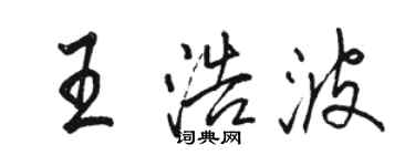 駱恆光王浩波行書個性簽名怎么寫