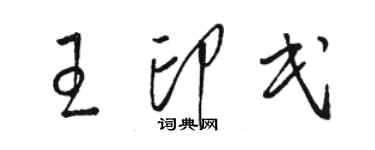 駱恆光王印民草書個性簽名怎么寫