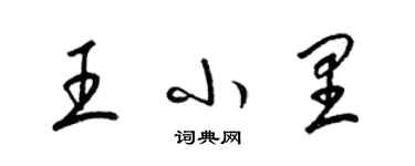 梁錦英王小里草書個性簽名怎么寫