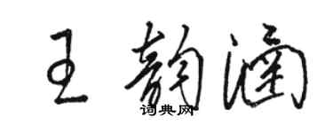 駱恆光王韻涵草書個性簽名怎么寫