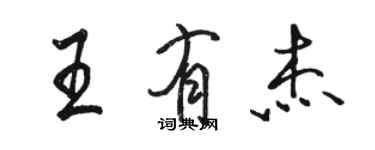 駱恆光王有傑行書個性簽名怎么寫