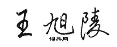 駱恆光王旭陵行書個性簽名怎么寫