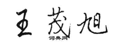 駱恆光王茂旭行書個性簽名怎么寫