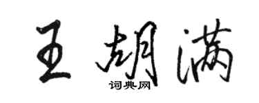 駱恆光王胡滿行書個性簽名怎么寫