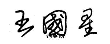 朱錫榮王國星草書個性簽名怎么寫