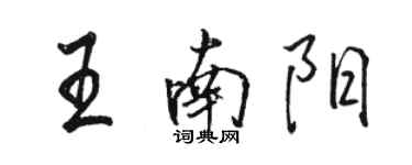 駱恆光王南陽行書個性簽名怎么寫