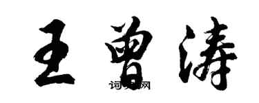 胡問遂王曾濤行書個性簽名怎么寫