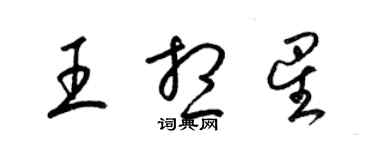 梁錦英王想星草書個性簽名怎么寫