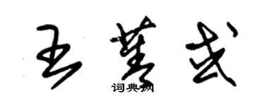 朱錫榮王菁或草書個性簽名怎么寫