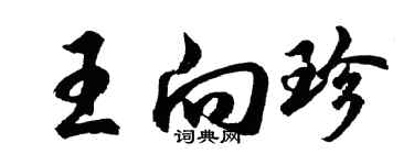 胡問遂王向珍行書個性簽名怎么寫