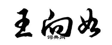 胡問遂王向如行書個性簽名怎么寫