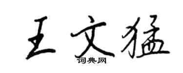 王正良王文猛行書個性簽名怎么寫