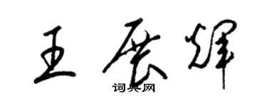 梁錦英王展輝草書個性簽名怎么寫