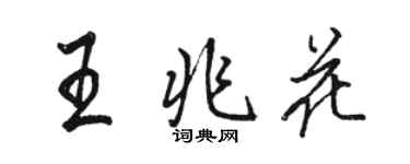 駱恆光王兆花行書個性簽名怎么寫