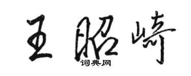 駱恆光王昭崎行書個性簽名怎么寫