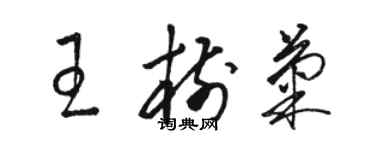 駱恆光王樹菊草書個性簽名怎么寫