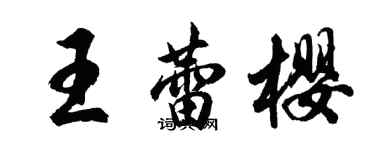 胡問遂王蕾櫻行書個性簽名怎么寫