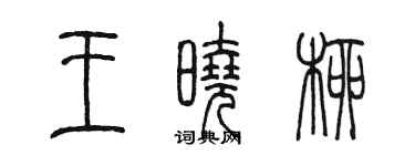 陳墨王曉柳篆書個性簽名怎么寫