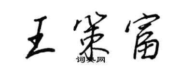 王正良王策富行書個性簽名怎么寫