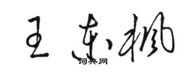 駱恆光王東楓草書個性簽名怎么寫