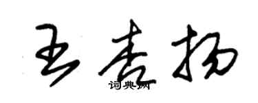 朱錫榮王杏揚草書個性簽名怎么寫