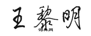 駱恆光王黎明行書個性簽名怎么寫