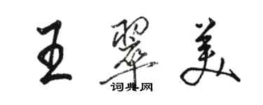 駱恆光王翠美行書個性簽名怎么寫