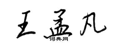 王正良王孟凡行書個性簽名怎么寫