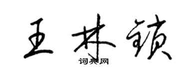 梁錦英王林鎖草書個性簽名怎么寫