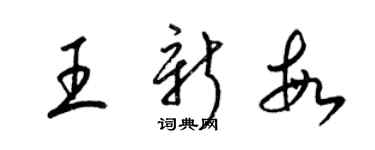 梁錦英王新敏草書個性簽名怎么寫