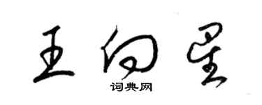 梁錦英王向星草書個性簽名怎么寫