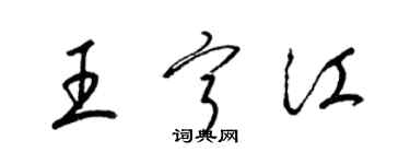 梁錦英王寧江草書個性簽名怎么寫