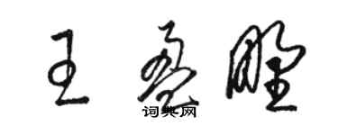 駱恆光王盈野草書個性簽名怎么寫