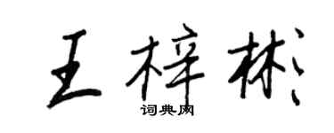 王正良王梓彬行書個性簽名怎么寫