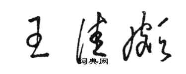 駱恆光王佳頗草書個性簽名怎么寫