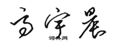 駱恆光高宇晨草書個性簽名怎么寫