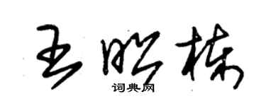 朱錫榮王昭棟草書個性簽名怎么寫