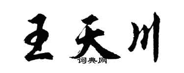 胡問遂王天川行書個性簽名怎么寫