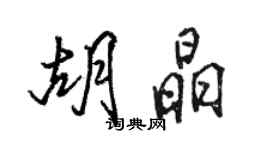 駱恆光胡晶行書個性簽名怎么寫