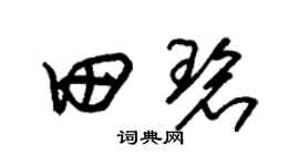 朱錫榮田碧草書個性簽名怎么寫