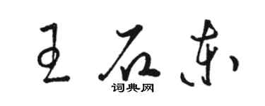 駱恆光王石東草書個性簽名怎么寫