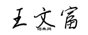 王正良王文富行書個性簽名怎么寫