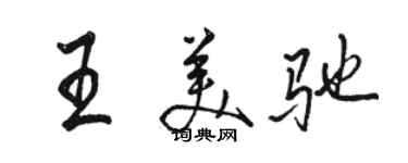 駱恆光王美馳行書個性簽名怎么寫