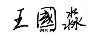 王正良王國淼行書個性簽名怎么寫