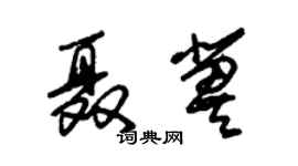 朱錫榮聶冀草書個性簽名怎么寫