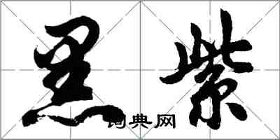 胡問遂黑紫行書怎么寫