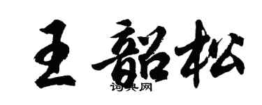 胡問遂王韶松行書個性簽名怎么寫